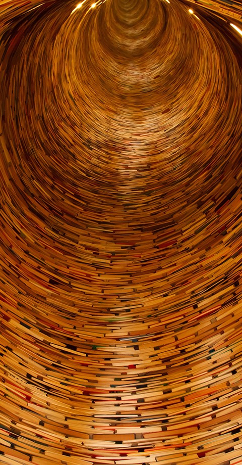 ����֪ʶ��Ȩ